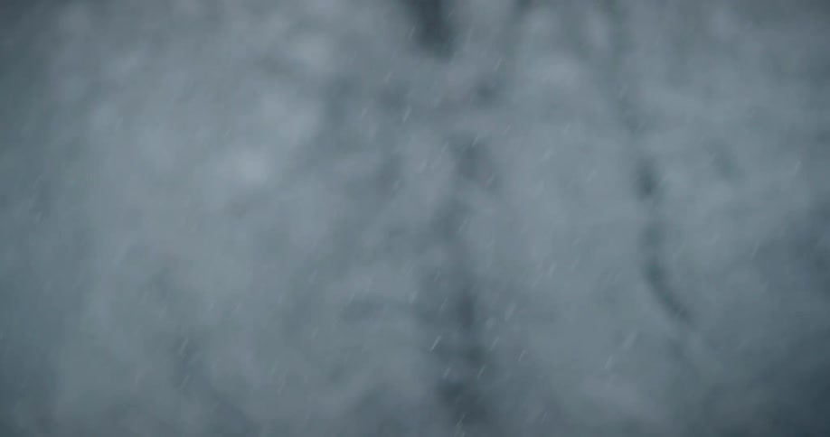 A close up clip of snow falling