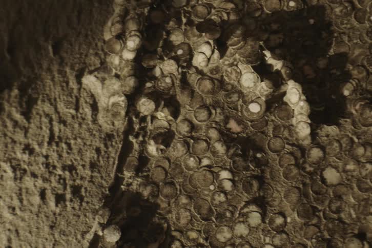Abstract soil with rocky texture and polka dots and worn