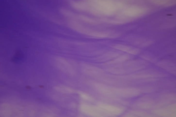 Closeup of streams of purple liquid ink moving over a white background
