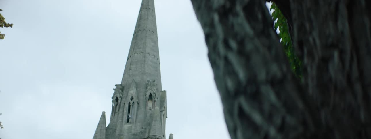 Trunk of a tree and next to it a cathedral with a tower