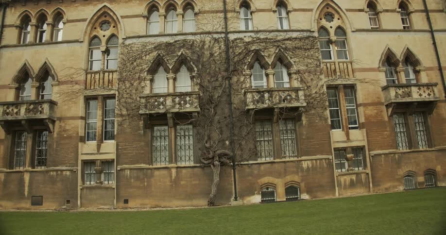 Exterior architecture of a medieval building with rustic windows and a dry tree on the walls