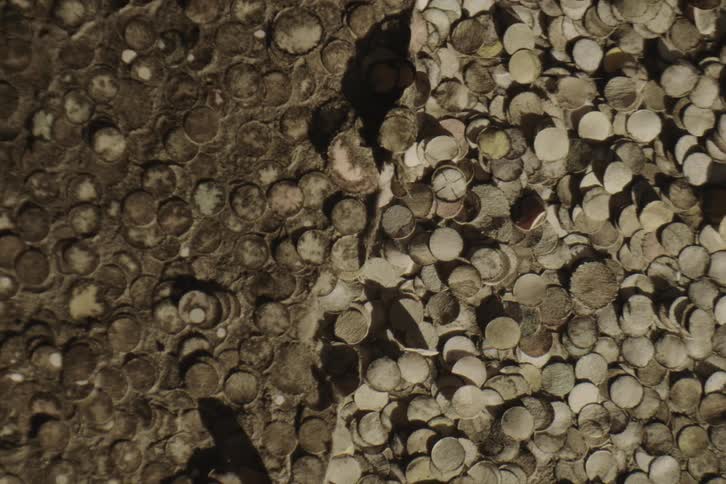 Descending view of a floor with white dots on top of each other worn and abstract