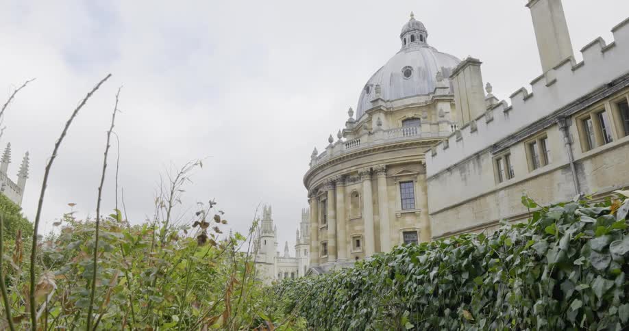 A garden grows on the property of an estate