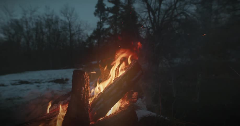 A campfire burning in a clearing in a forest at night