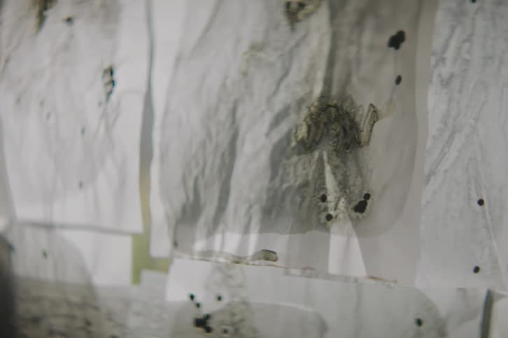 A clip of white cloths
