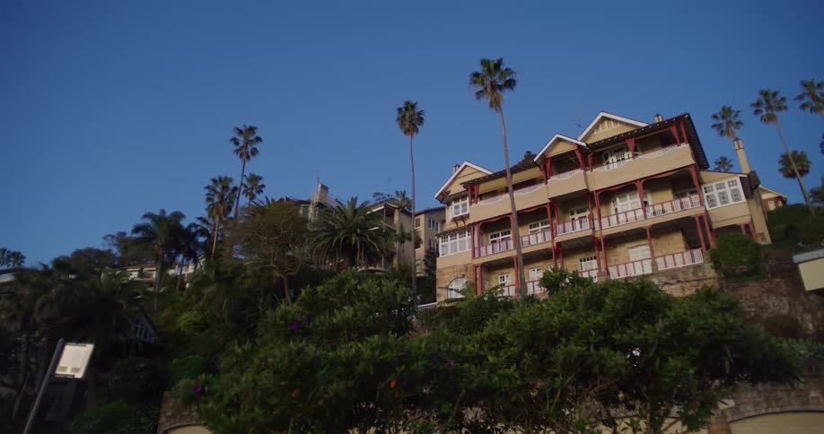 A hillside neighborhood surrounded by trees and vegetation
