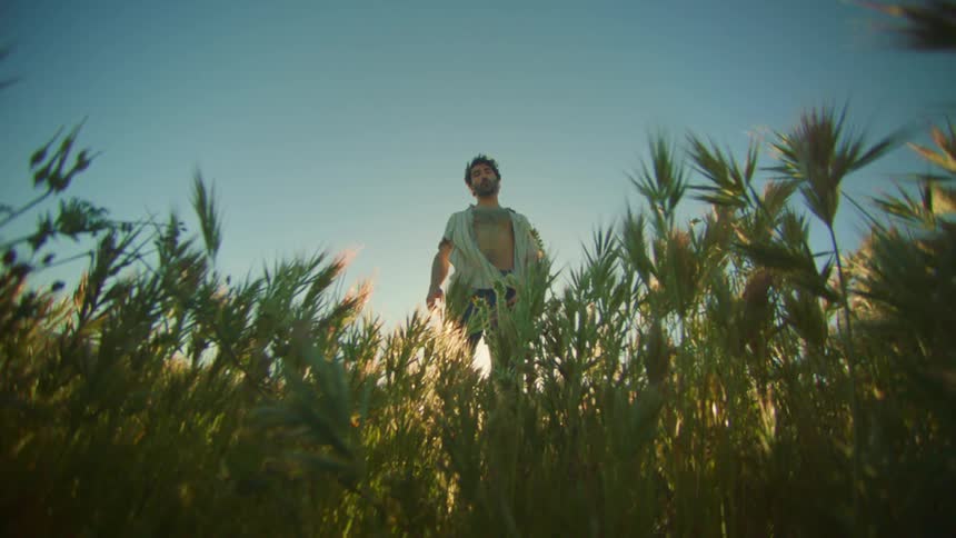 A man stands in a field full of grasses