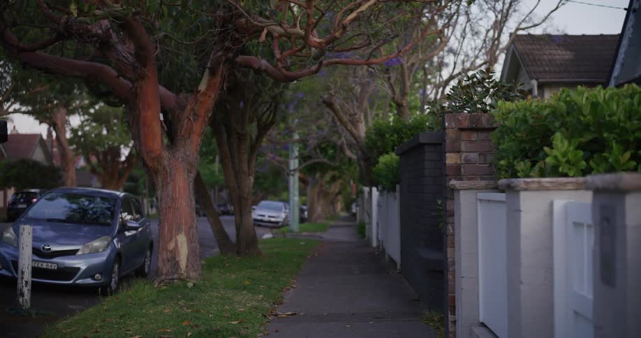 Street with vehicles parked on the edge of a residential neighborhood