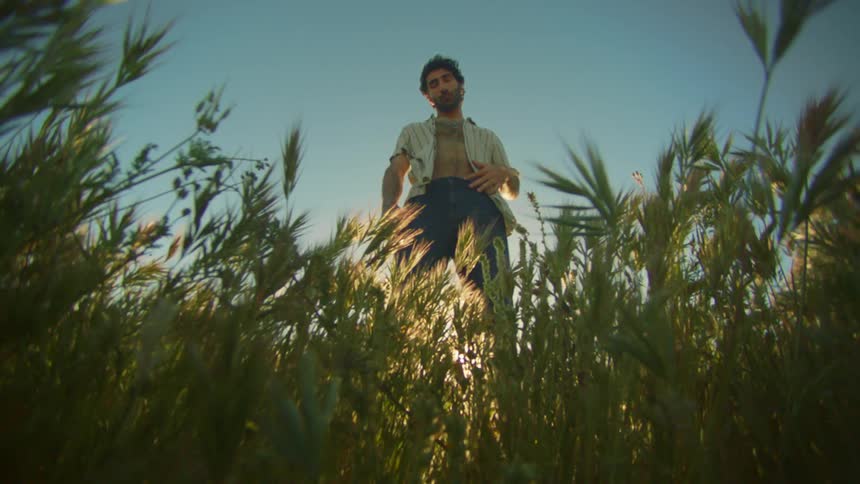 A man is standing in the tall grass