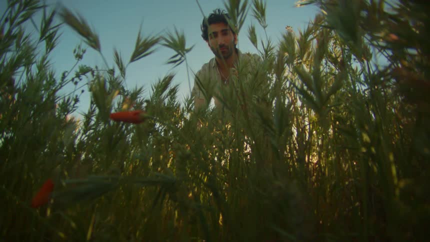 Man leans over to look at red flowers in field