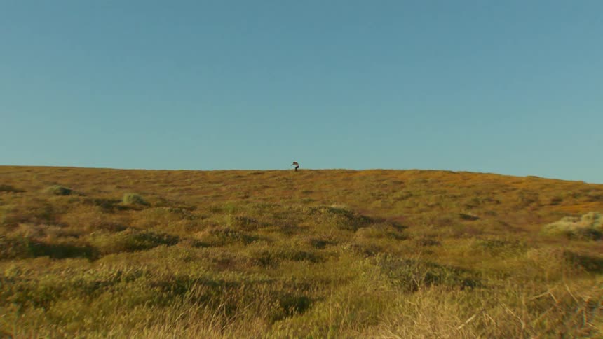 A man is stretching on the field