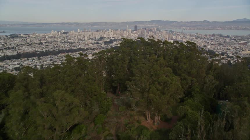 Aerial panorama of residential houses built around a hill with a forest and skyscrapers on the skyline of a seaside metropolis