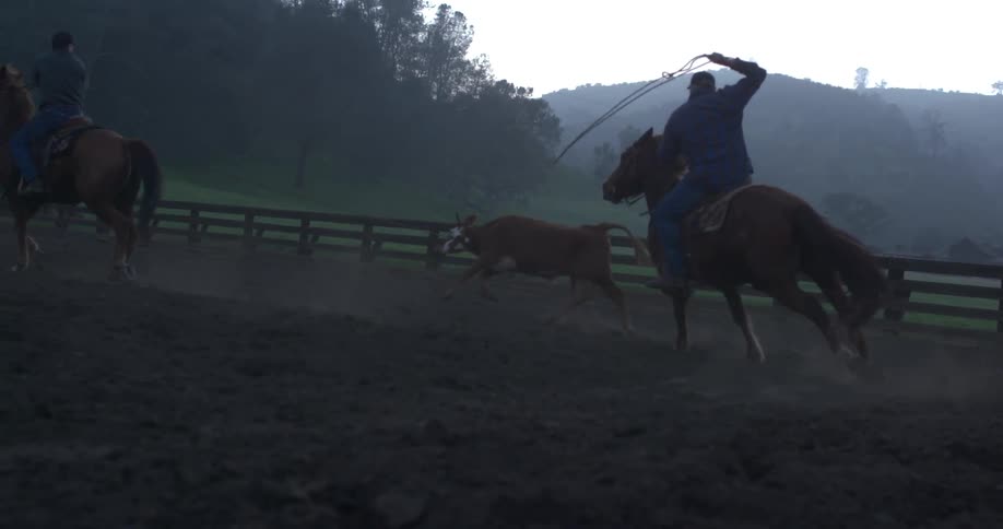 A person riding a horse