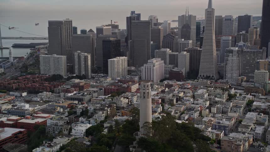 Aerial view of the coit tower and the skyline of san francisco