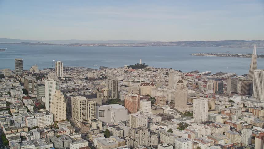 Aerial panorama of a metropolis with urban and residential buildings by the sea