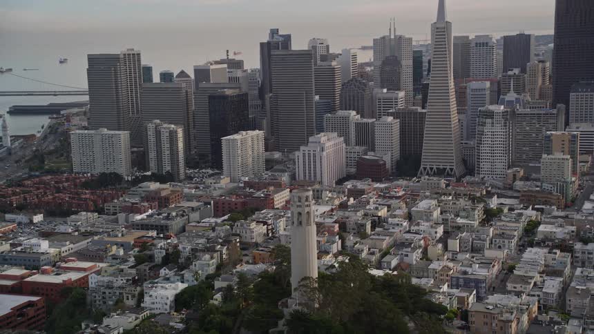 Aerial panorama of a metropolis with urban and residential buildings and seaside viewpoints