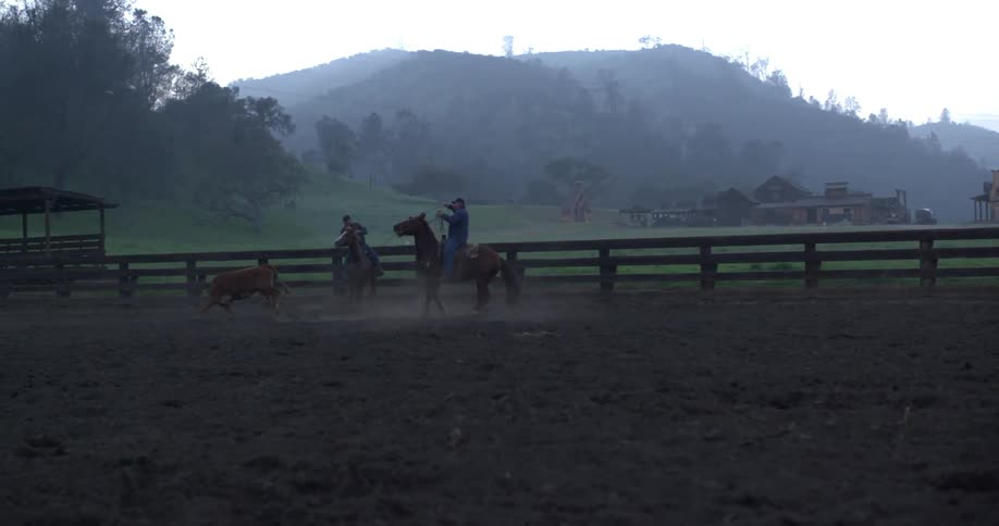 People riding horses