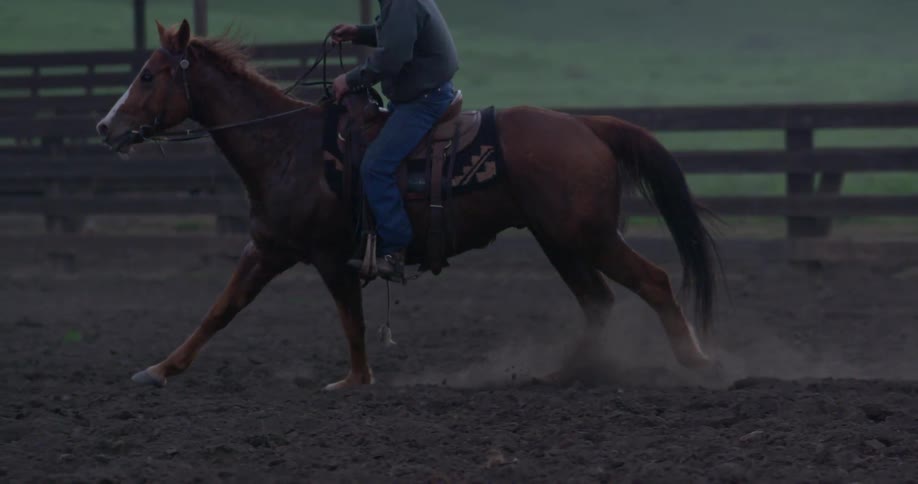 A person riding a horse
