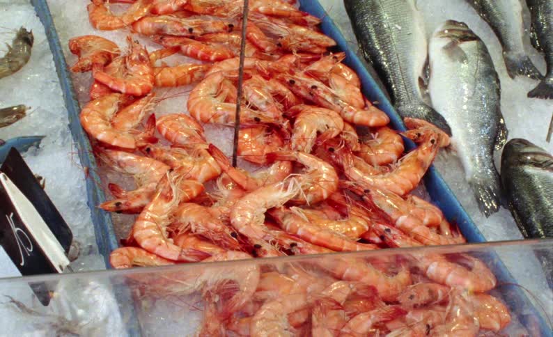 Fishmonger selling fresh fish and shrimp