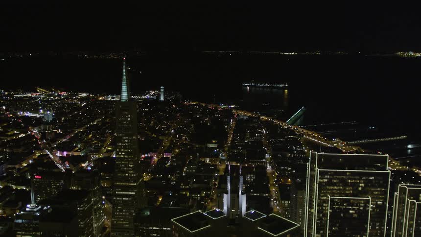 Aerial panorama of a metropolis with illuminated skyscrapers at night and by the sea