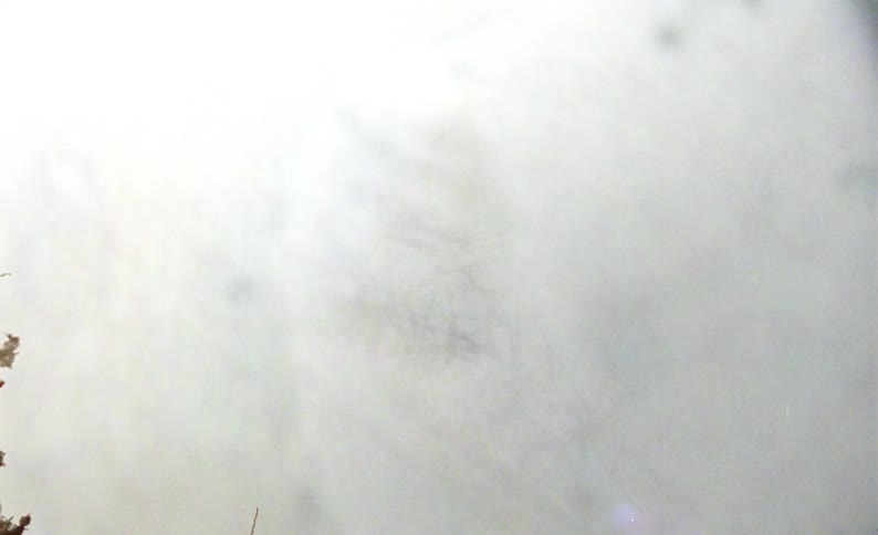 Round barbed wires on top of a metal grid and then a strong white light dazzles the entire environment