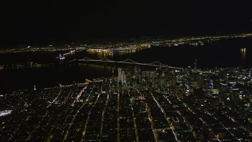 Aerial panorama of a metropolis illuminated at night and the seaside