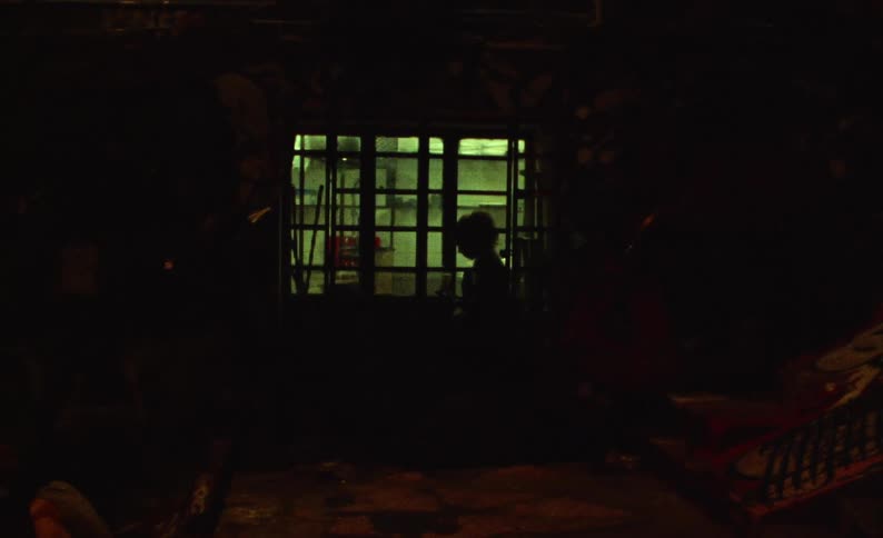 Silhouette of a woman seen from the window of a house at night