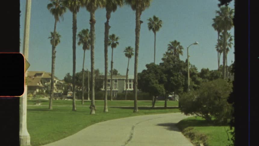Residential neighborhood with mansions and palm trees around