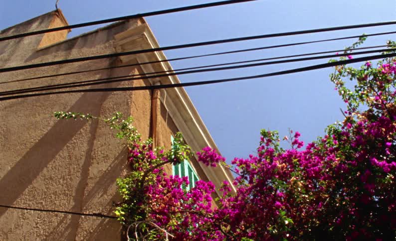 Flowers are on the fence by the home