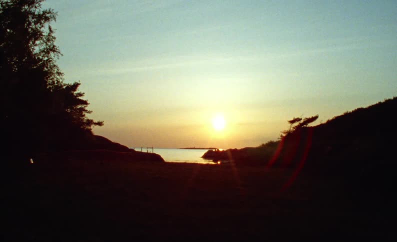 The sun is rising on the shore