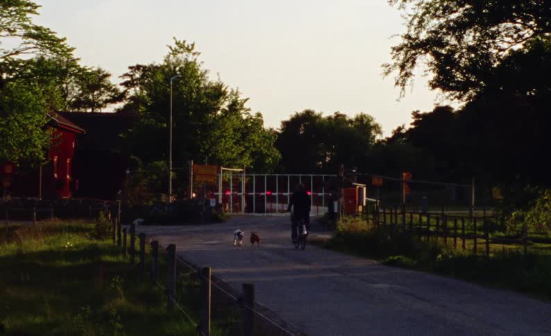 A man rides his bike with his dogs