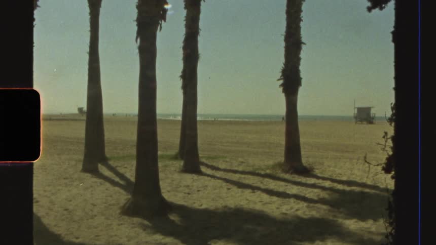 Sand landscape with palm trees and the beach sea in the background on a blue sky day
