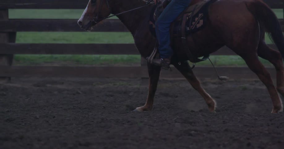 A horse and rider circle inside a paddock