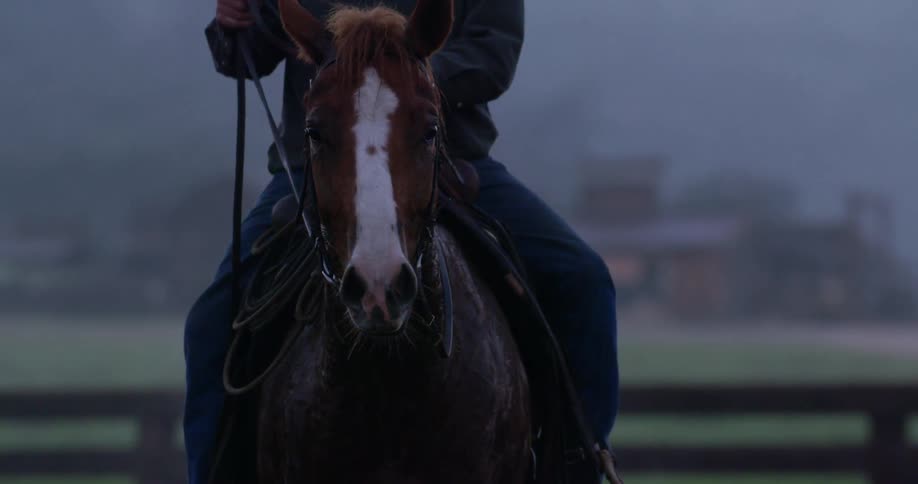 A person riding a horse
