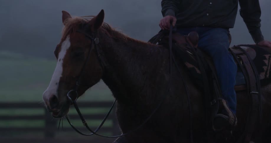 A man sitting on a horse in a pasture