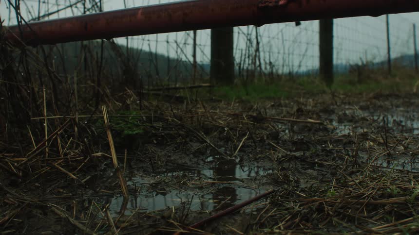 Wet pasture ground with drops from a pipe falling on a cloudy day