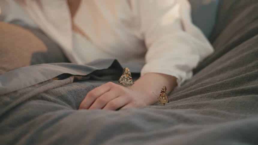 Two butterflies in a womans hand