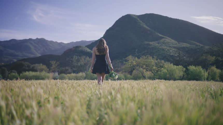 Back view of a woman walking in tall grass holding a bunch of flowers and mountains on the horizon in blue blue sky with few clouds