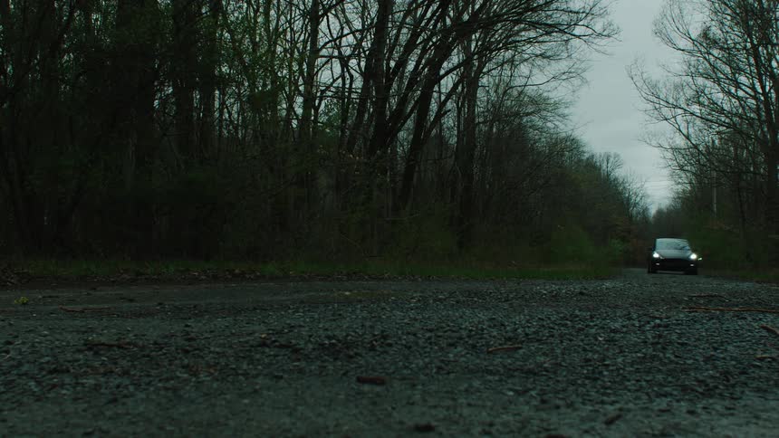 A car drives across a forest road at night