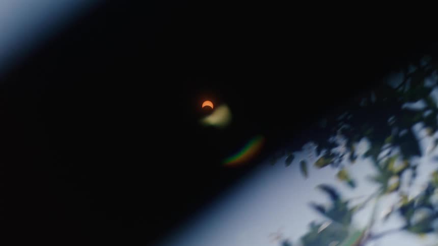 A lunar eclipse juxtaposed to a tree branch
