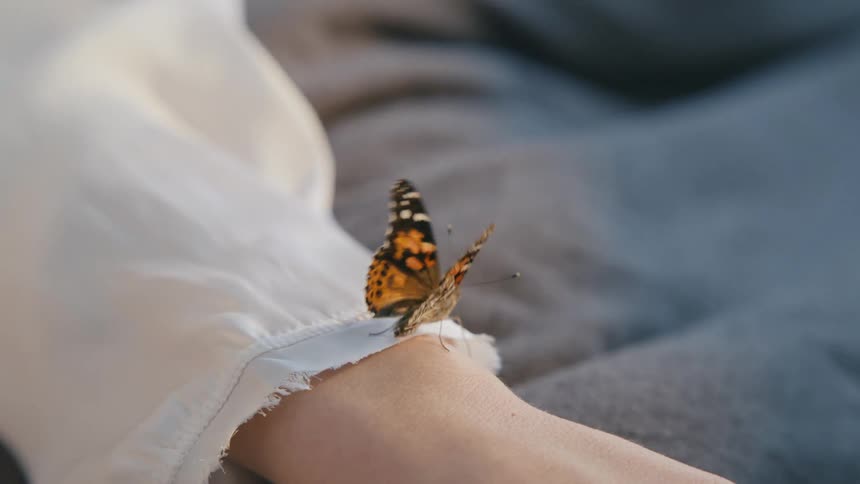 A monarch butterfly on a womans wrist opens and closes its wings