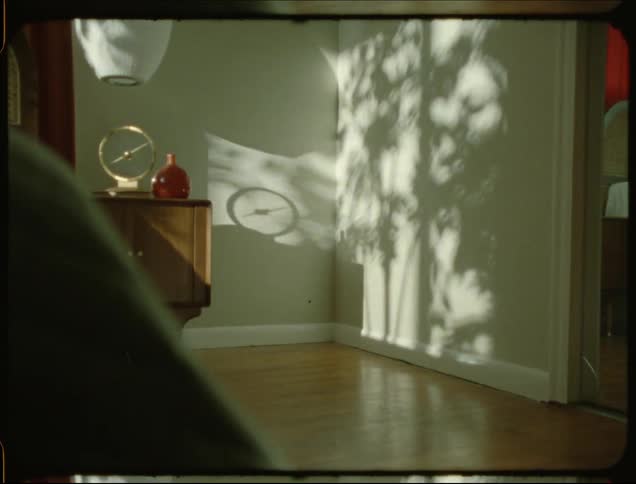 Plant shadows shift across wall in room