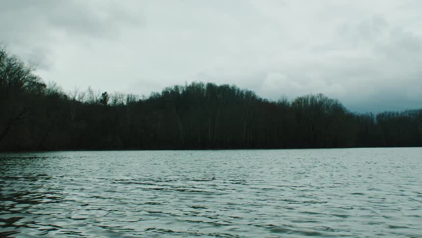 Water flows past a forested coast