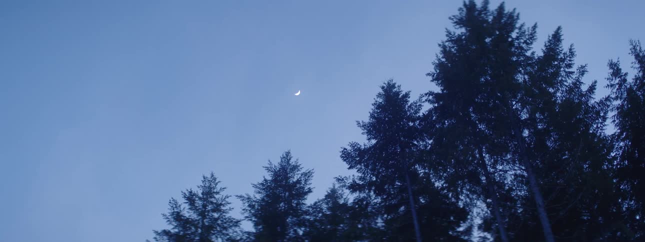 A crescent moon in the sky over a forest