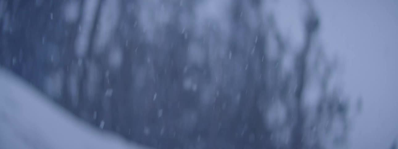 Close up of snowflakes falling in the forest at winter