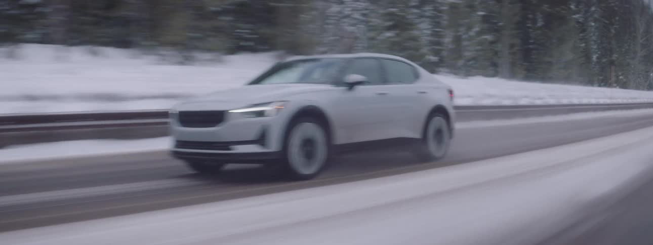 A white car drives on a snowy road next to a pine tree forest