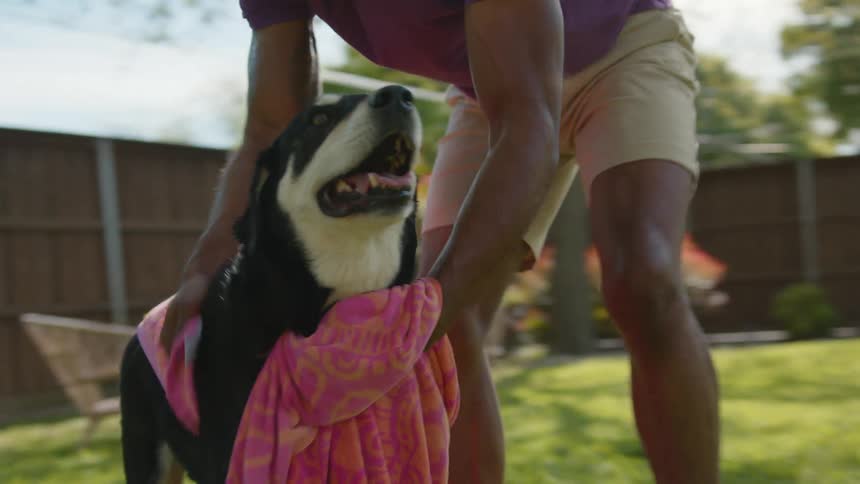 Owner drying his dogs body with a pink towel in the backyard