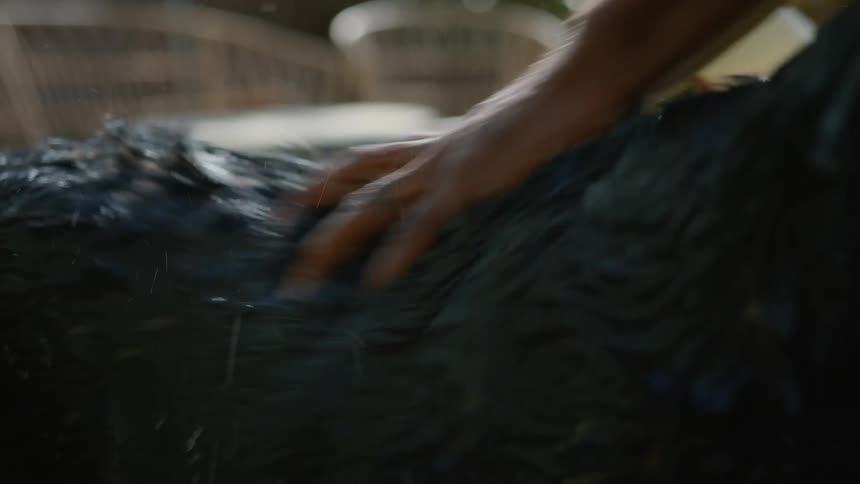 Man hands applying shampoo to his dogs body and rubbing it while they are in the grassy backyard