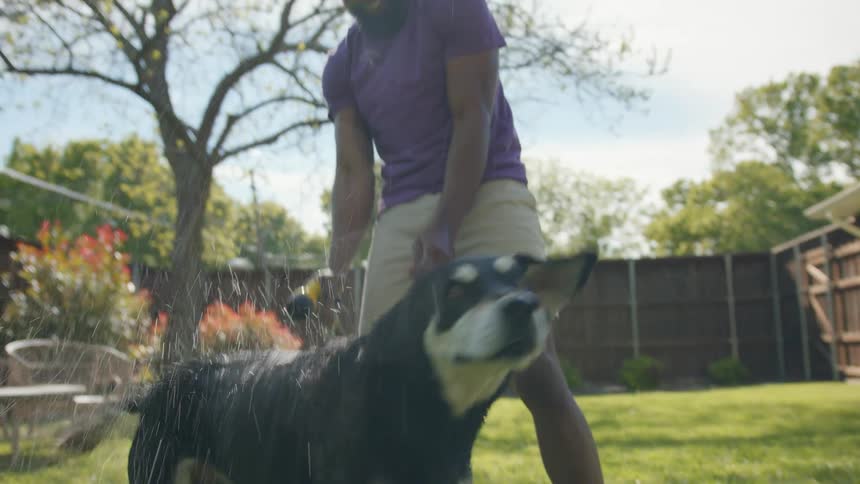 Smiling man giving his dog a hose bath in the backyard