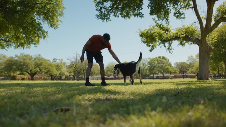 A man plays with his dog in a park